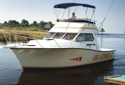 舷内快艇 - 32'  - Newton Boats - 双引擎 / 飞桥 / 钓鱼运动