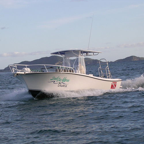 舷内敞开艇 - Newton 26' - Newton Boats - 柴油机 / 中央控制台 / 硬顶