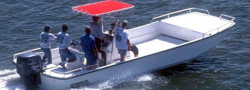舷外海湾游艇 - 2790 DLX EW - Carolina Skiff - 中央控制台 / 钓鱼运动 / 最多容纳 22 人