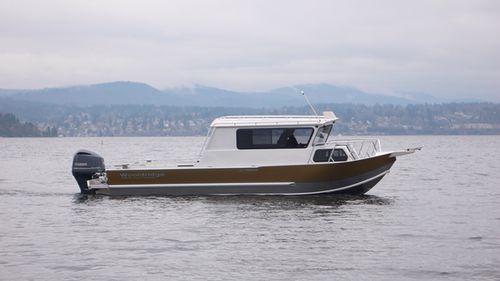 舷外休闲钓鱼船 - 26' SS PILOTHOUSE - Wooldridge - 舵手室 / 近海 / 铝制