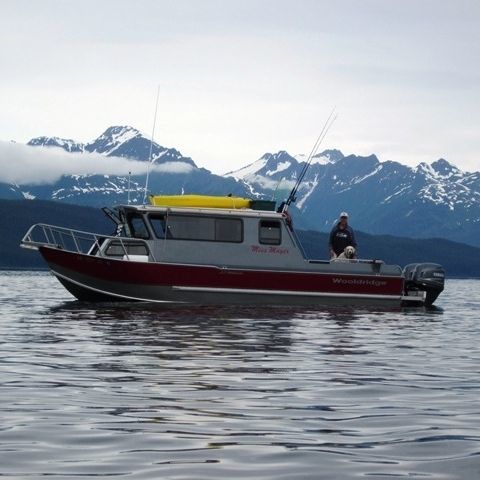 舷外休闲钓鱼船29sspilothouse