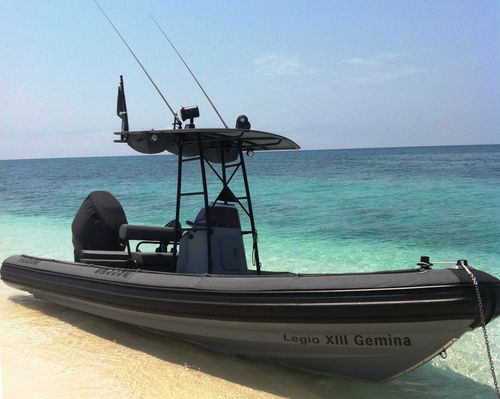 巡逻艇专业船 - WAVERIDER 650 - GEMINI MARINE PTY LTD - 舷外 / 刚性充气艇