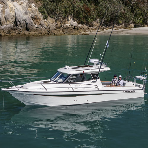 舷外舱房游艇 - 3000 - Rayglass Boats - 舷内 / 舵手室 / 钓鱼运动