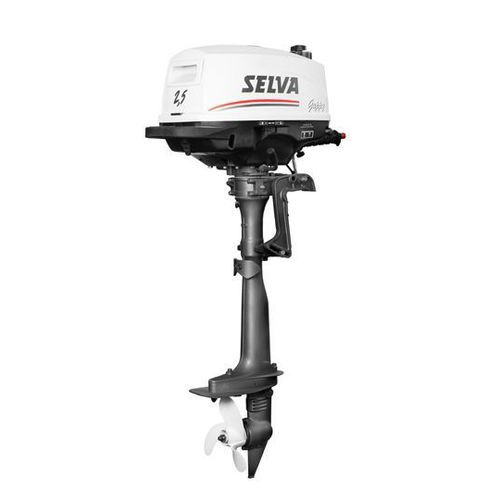 舷外发动机 - GUPPY - Selva Outboard Motors/塞尔瓦 - 汽油 / 游船 / 直接燃油喷射