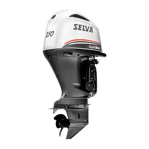 舷外发动机 - RIGHT WHALE 250 E.F.I. - Selva Outboard Motors/塞尔瓦 - 汽油 / 游船 / 水冷