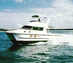 双体快艇 - 3500 - Noosa Cat Australia - 舷外 / 双引擎 / 飞桥