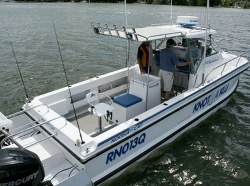 双体Walkaround艇 - 3000 - Noosa Cat Australia - 舷外