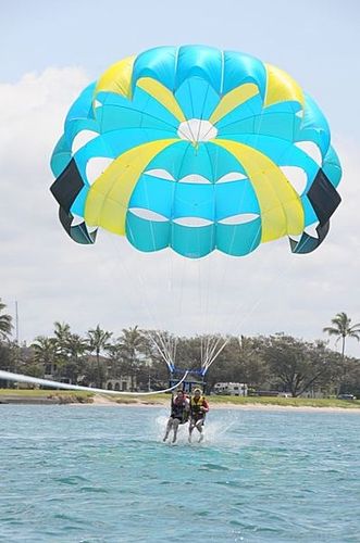定制翼伞 - CYCLONE X 35 "High wind" - WATERBIRD PARAKITES - 用于强风 / 1-3座