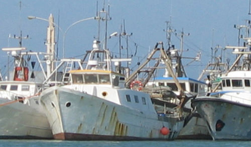 渔船用捕捞测深器 - SY50 - Simrad - 彩色 / 全向