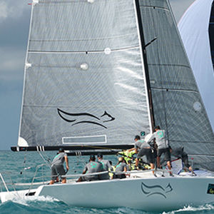 艏三角帆 -  FUSION M  - Quantum Sails - 单一设计竞赛龙骨船 / 碳纤 / Melges 32 级