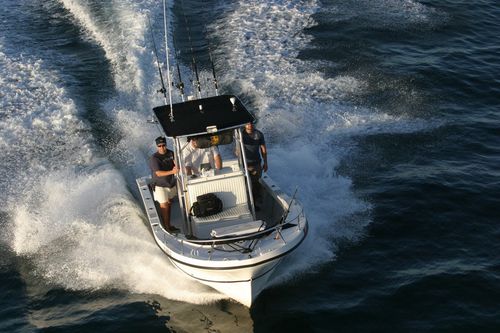 舷外敞开艇 - 227  - Dusky Marine - 钓鱼运动 / T形顶篷