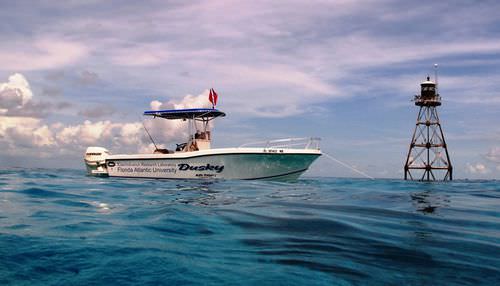 舷外敞开艇 - 252  - Dusky Marine - 钓鱼运动 / T形顶篷