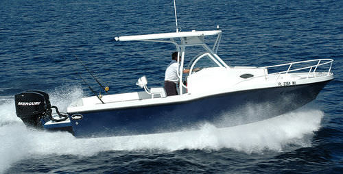 Walkaround / 舷外 - 252 CRUISER - Dusky Marine - 钓鱼运动 / T形顶篷