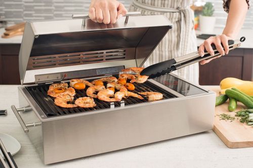电动BBQ 烧烤架 - FRONTIER - Kenyon International, Inc.
