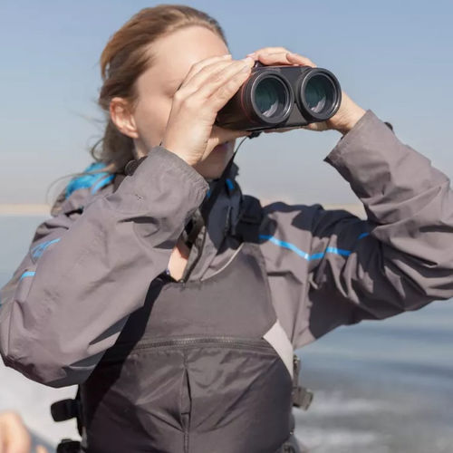 防水望远镜 - L IS WP - Canon Binocular - 10x42