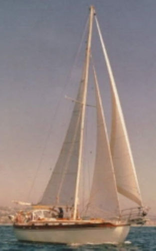 主帆 - Cruise Plus - Neilpryde Sails - 前帆 / 巡游帆船用 / 横缝