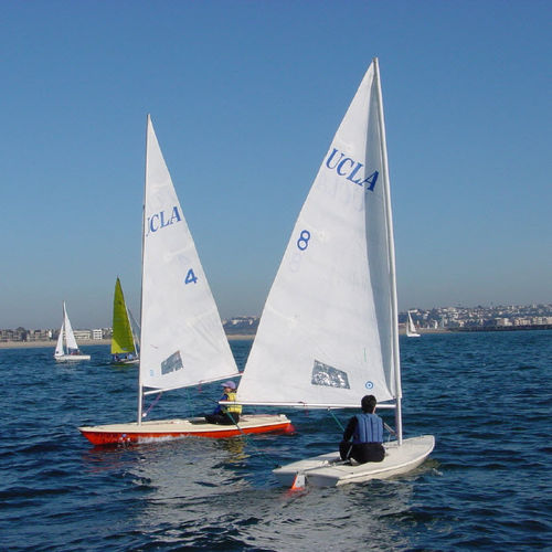 主帆 - Inshore - Neilpryde Sails - 前帆 / 用于小帆艇 / 横缝