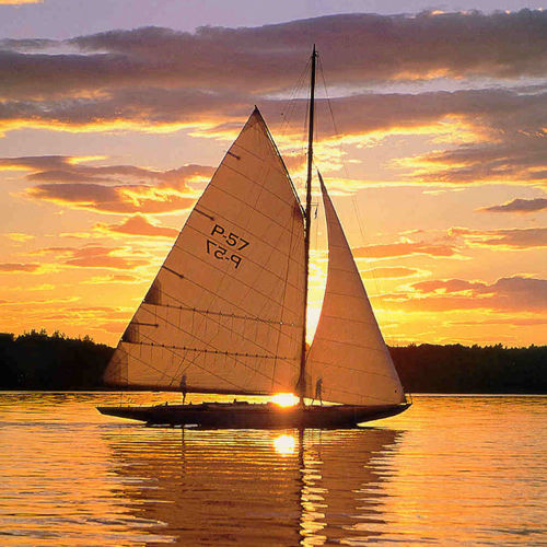 主帆 - Neilpryde Sails - 前帆 / 顺风帆 / 传统帆船用
