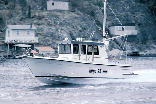 Walkaround舷内艇 - 25 MkII - Targa - 舵手室 / 飞桥 / 钓鱼运动