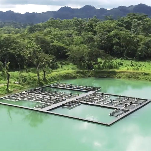 水上平台 - Aquaculture - CANDOCK - 水产养殖