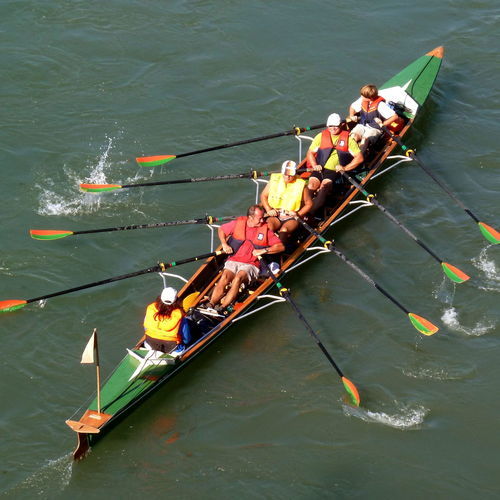 游览划艇 - E4x+4+ Kombi - Baumgarten Bootsbau - 休闲 / 四人单桨 / 带舵手位