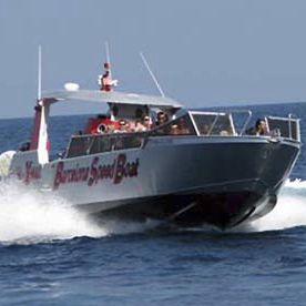 观光船专业船 - 1390 - MOGGARO ALUMINIUM YACHTS - 舷内