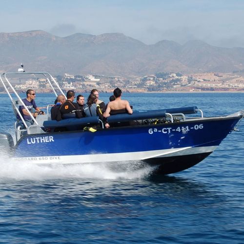 潜水支持船专业船 - 650 - MOGGARO ALUMINIUM YACHTS - 舷外
