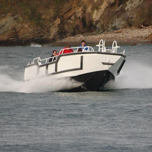 作业船专业船 - 900 TENDER - MOGGARO ALUMINIUM YACHTS - 舷内尾机推进 / 柴油 / 铝制