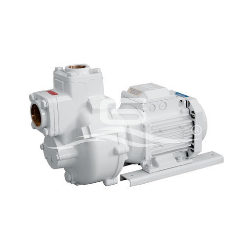 船用泵 - BMA-G - GIANNESCHI PUMPS & BLOWERS - 转运 / 用于灰水 / 转子
