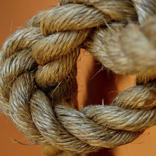 多用途缆绳 - MANILA - Langman Touwfabriek | LangmanRopes - 缆绳 / 拧绞 / 传统帆船用