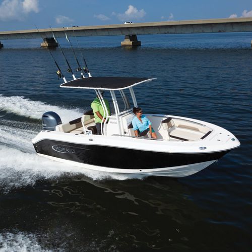 舷外敞开艇 - R202EX  - Robalo - 中央控制台 / 钓鱼运动 / 最多容纳 8 人