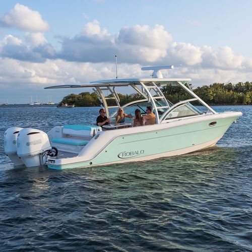 舷外小快艇 - R317  - Robalo - 双引擎 / Bow Rider / 双控制台