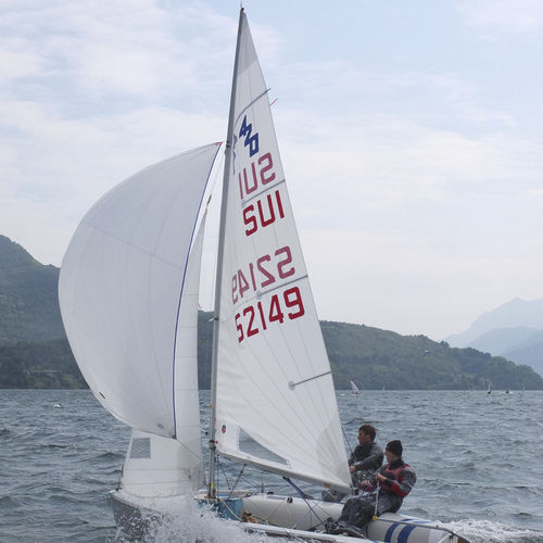 主帆 - Ullman Sails - 用于小帆艇 / 径向切割 / Dacron®