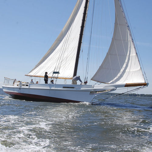 主帆 - Ullman Sails - 前帆 / 顺风帆 / 传统帆船用