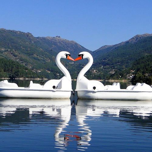 4人座脚踏船 - GRAN CISNE - AVENTURAS AQUATICAS - LA NORIA - 商用 / 用于租赁公司 / 免维护