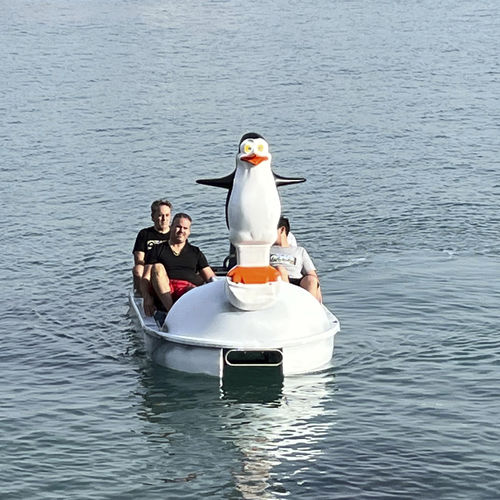 4人座脚踏船 - Gran Pingüino - AVENTURAS AQUATICAS - LA NORIA