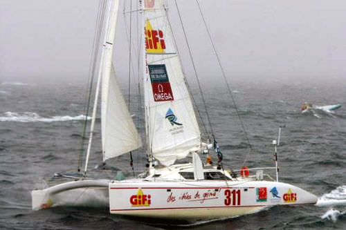 双体帆船 - FREYDIS 50' - Tournier Marine - 巡航竞赛 / 碳纤桅杆 / 风帆驱动