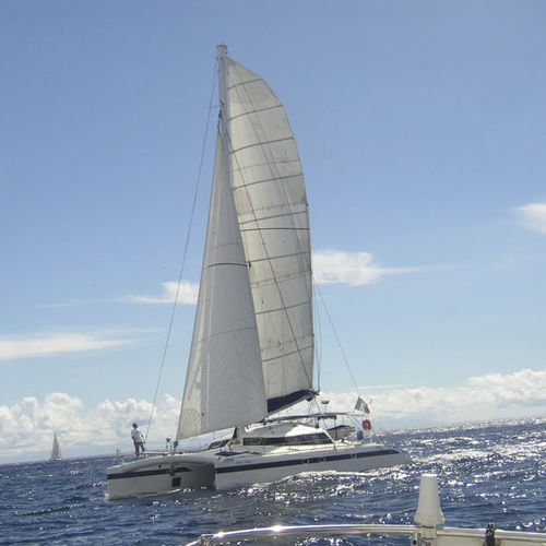 双体帆船 - FREYDIS 49' - Tournier Marine - 远洋巡游 / 碳纤桅杆 / 风帆驱动