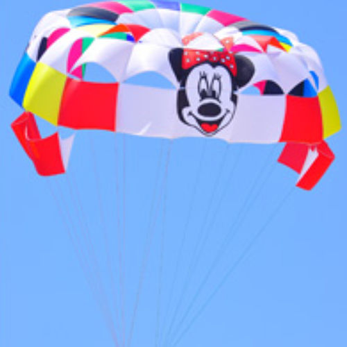 定制翼伞 - Skylar - Pegasus Parasails - 1-4座