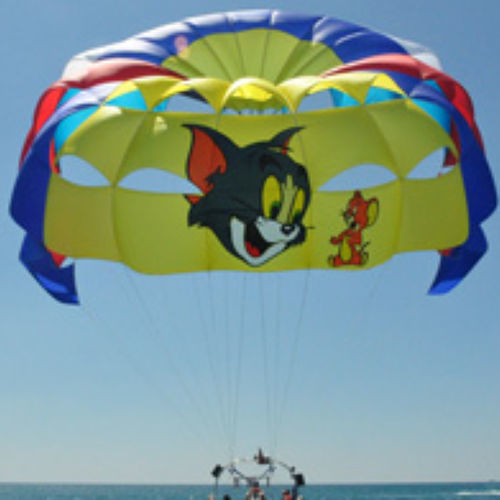 定制翼伞 - Maxi Jumbo - Pegasus Parasails - 1-4座