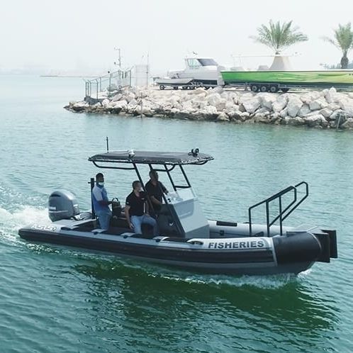 巡逻艇专业船 - 7. M D-Tube - ASIS BOATS - 专业捕鱼船 / 舷外 / 铝制
