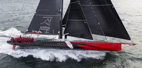 远洋竞赛用超级帆船游艇 - COMANCHE - Hodgdon Yachts - 尾部开放式 / 碳纤 / 摆动式龙骨