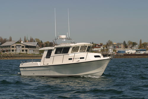 舷内舱房游艇 - OFFSHORE 3000 - Sea Sport, Inc - 硬顶 / 钓鱼运动 / 4铺位