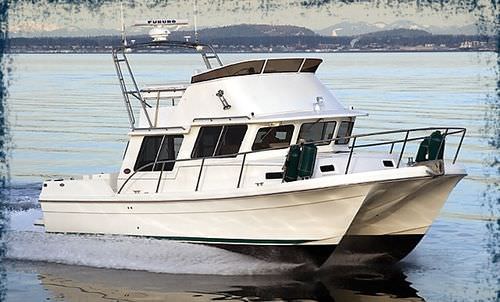 双体快艇 - PACIFIC 3200 - Sea Sport, Inc - 舷内 / 飞桥 / 6铺位