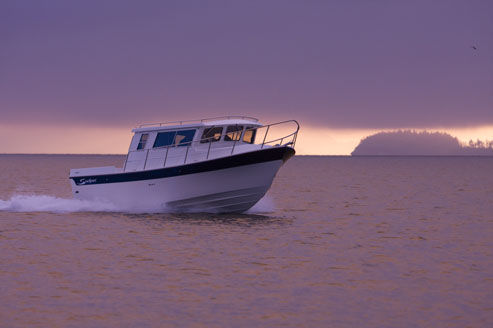 Walkaround / 舷外 - COMMANDER 2800 - Sea Sport, Inc - 巡航捕鱼 / 6铺位