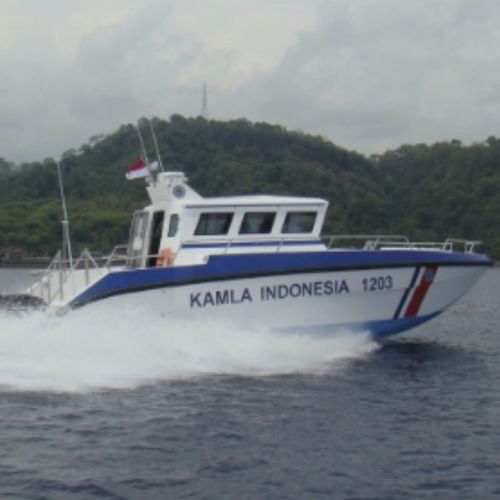 巡逻艇专业船 - X38 - North Sea Boats - 双体船 / 舷外 / 柴油