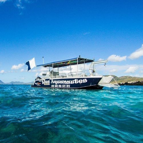 作业船专业船 - FOXSEA 800 - BORD A BORD - 客船 / 潜水支持船 / 舷外