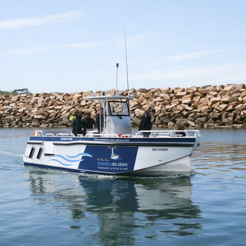 客船专业船 - PIXSEA PRO 800  - BORD A BORD - 舷外 / 铝制 / Bureau Veritas