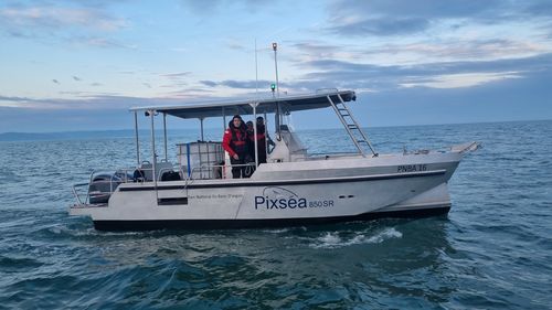 巡逻艇专业船 - PIXSEA 850 PRO RS - BORD A BORD - 作业船 / 客船 / 载人交通船
