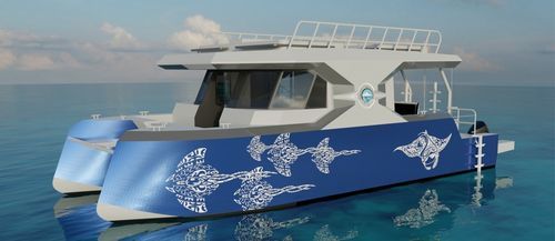 客船专业船 - ARGOCAT 1200 - BORD A BORD - 潜水支持船 / 双体船 / 舷外